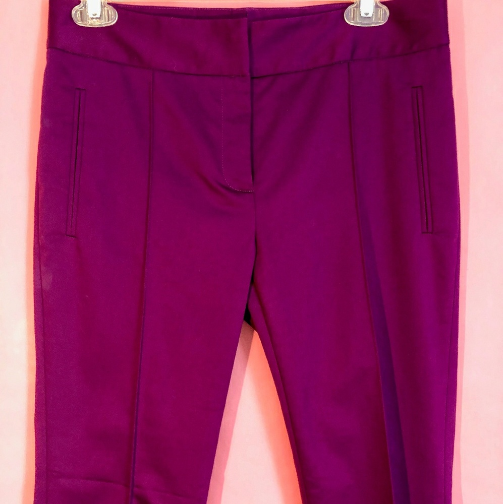 Antonio Melani royal purple dress pants.
